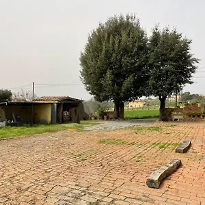  Holiday home Podere Piazza