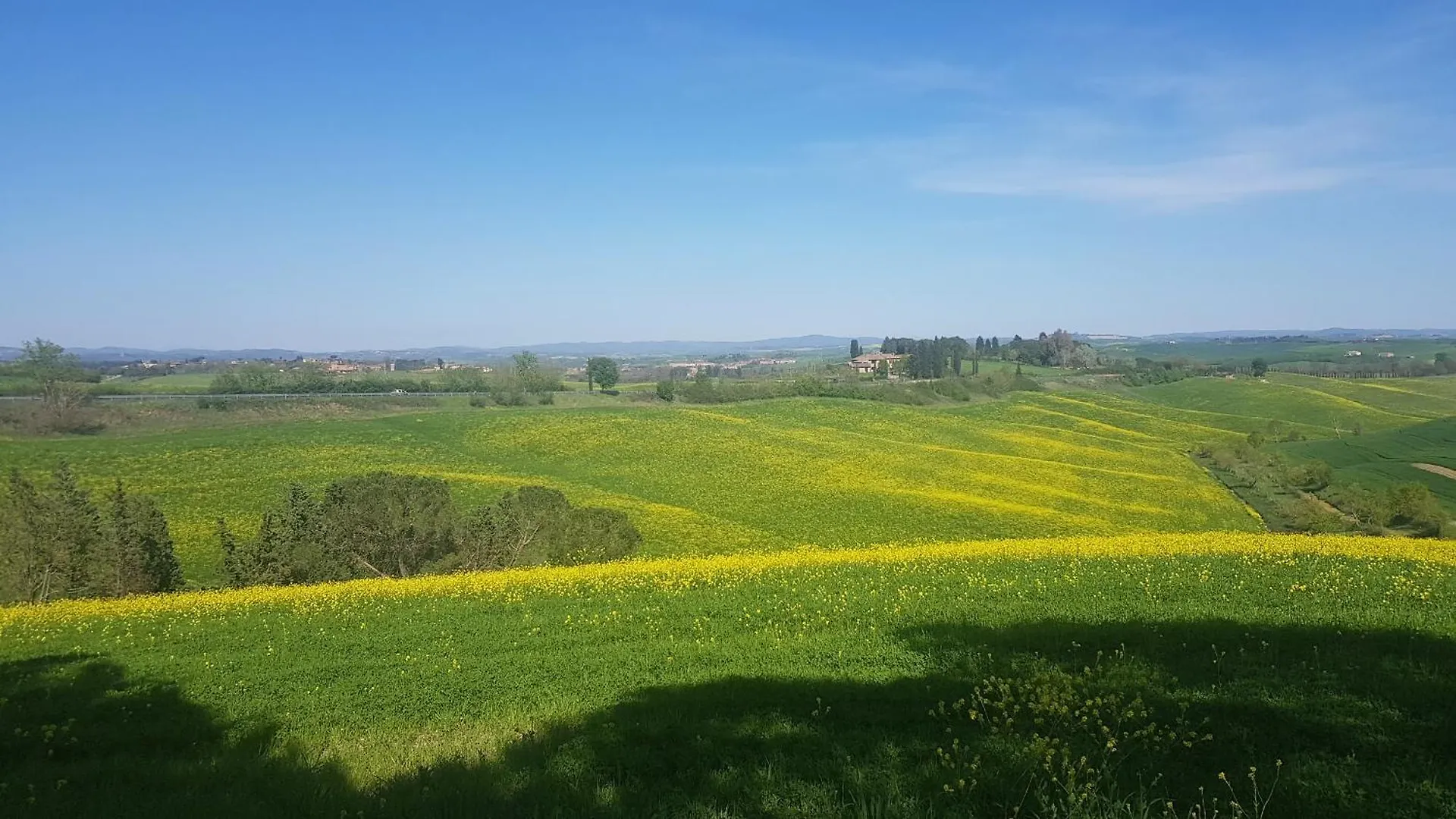 Gli Ulivi Di Siena 2 Vila