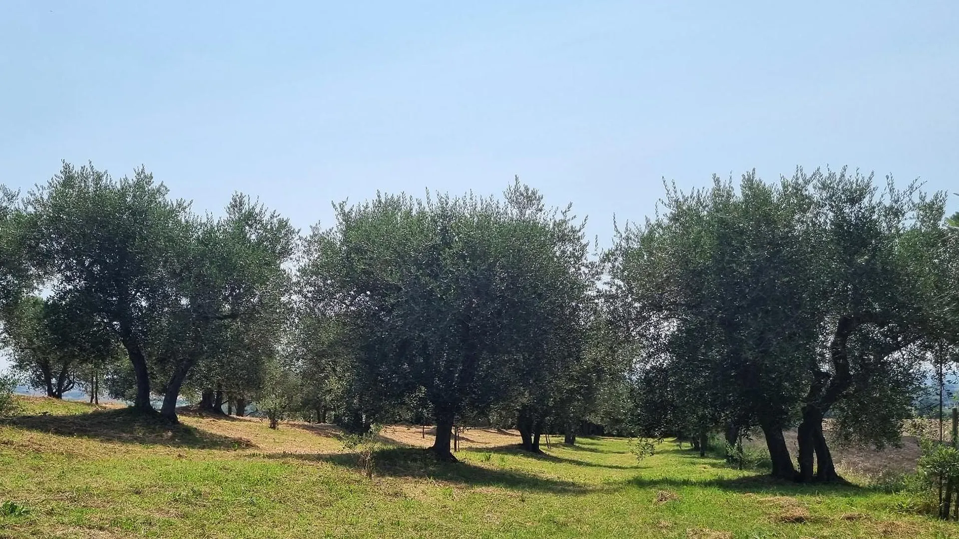 Holiday home Gli Ulivi Di Siena 2 Villa Italy